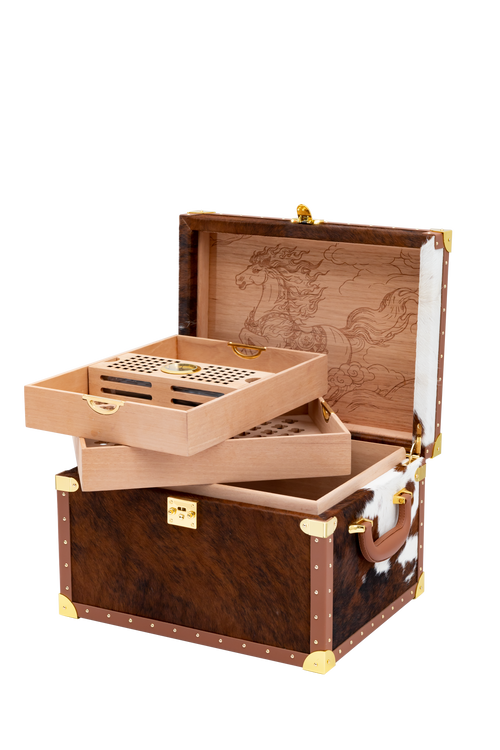 VITOLIA COLLECTION – CHEVAL ORANGE – Cave Cigare M-Orange Yellow