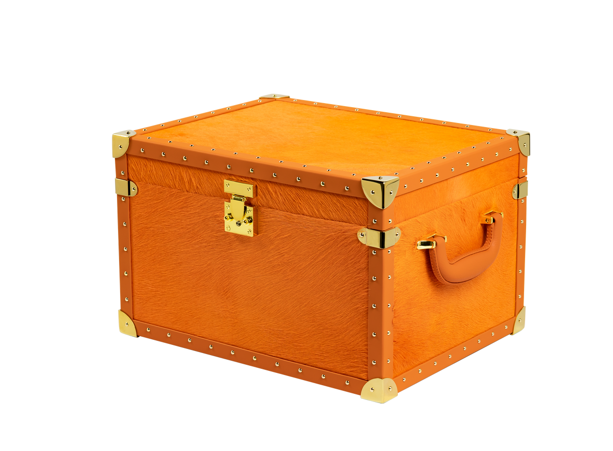 VITOLIA COLLECTION – CHEVAL ORANGE – Cave Cigare M-Orange Yellow