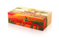 VITOLIA COLLECTION – SINGE ROUGE – Cave à cigares / Humidor H-Red