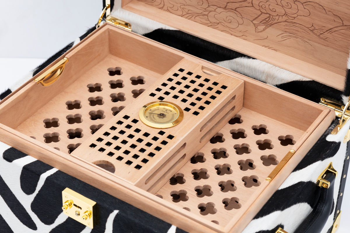 VITOLIA COLLECTION – NUAGES ORANGE – Cave Cigare – Humidor XY-Orange
