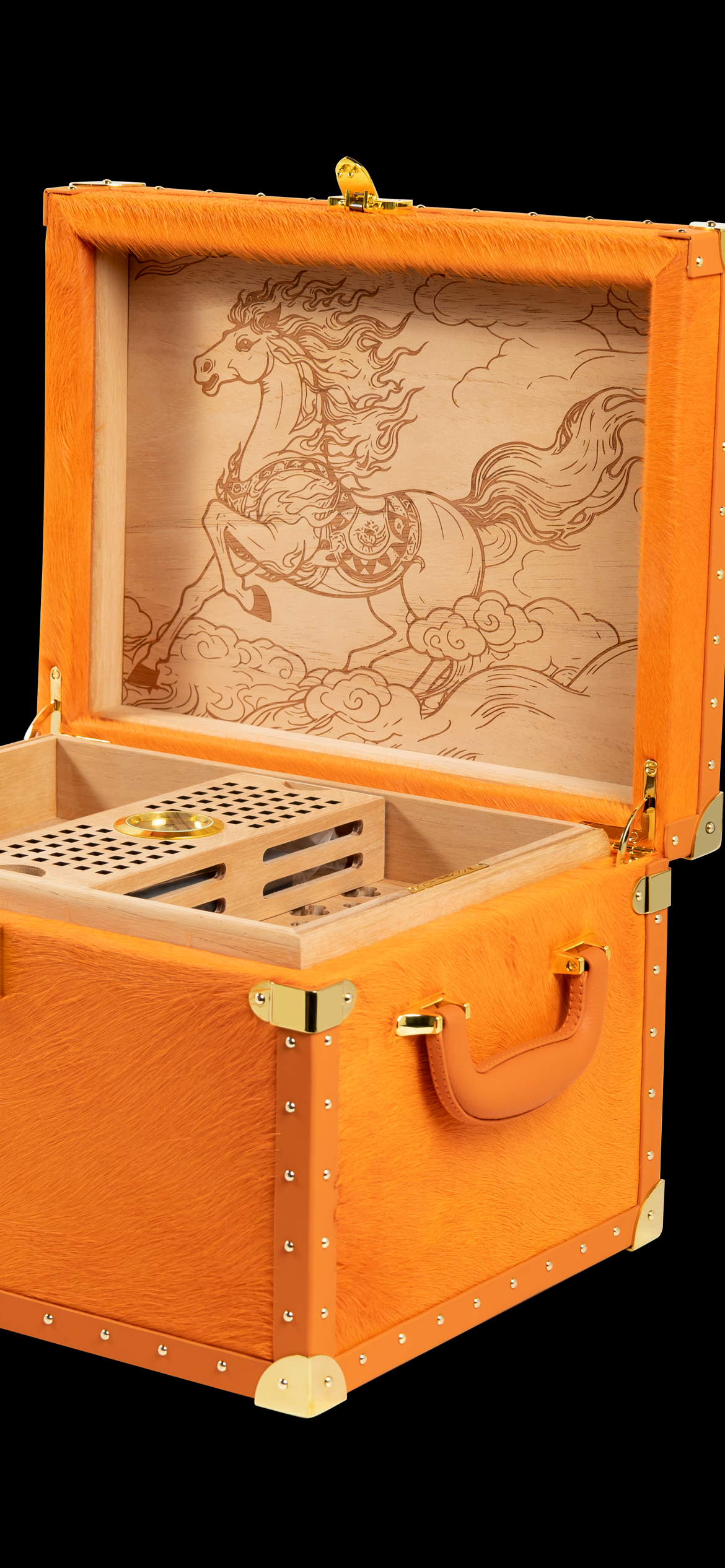 VITOLIA COLLECTION – CHEVAL ORANGE – Cave Cigare M-Orange Yellow