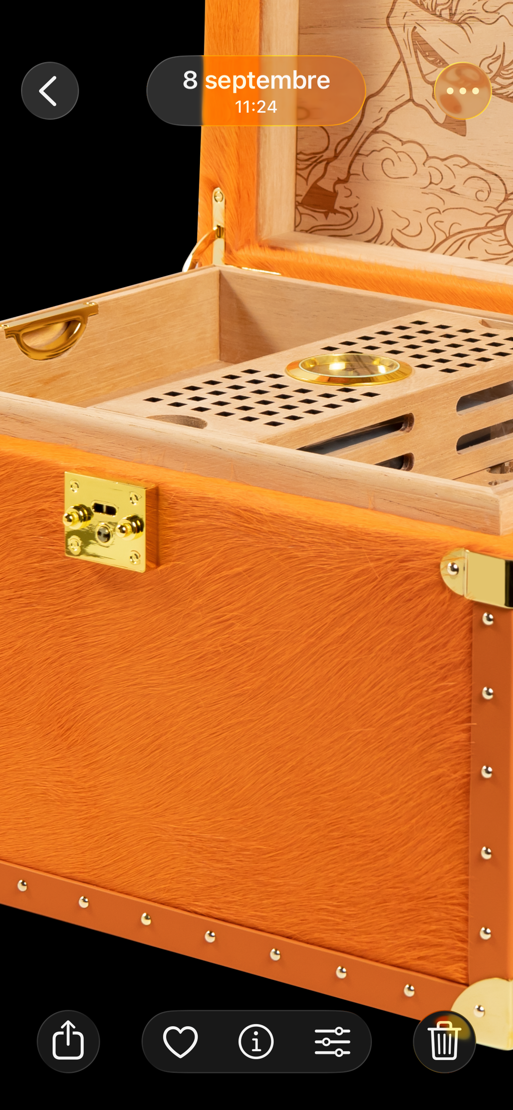 VITOLIA COLLECTION – CHEVAL ORANGE – Cave Cigare M-Orange Yellow