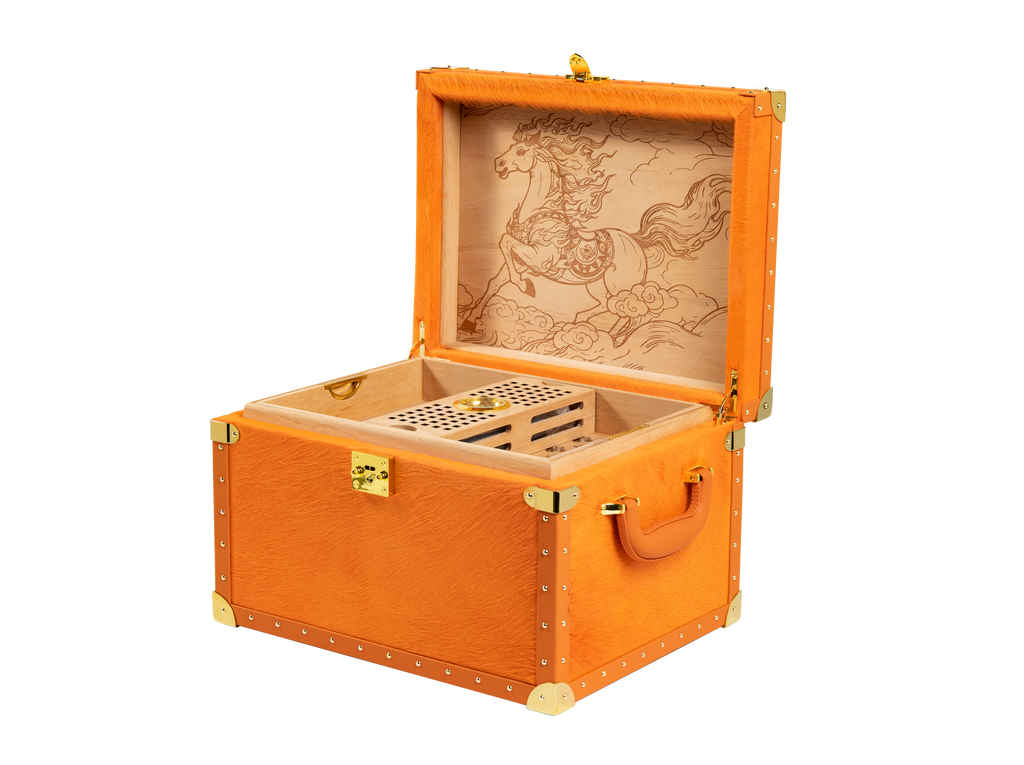 VITOLIA COLLECTION – CHEVAL ORANGE – Cave Cigare M-Orange Yellow
